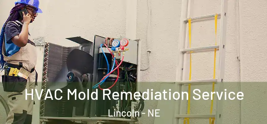  HVAC Mold Remediation Service Lincoln - NE