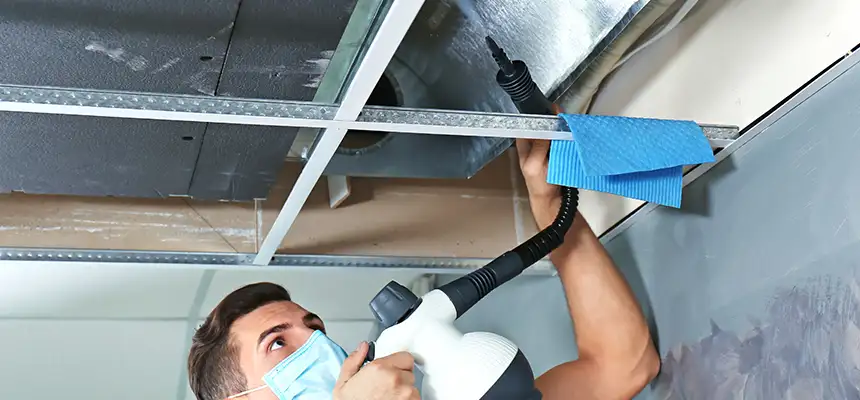 Our Air Duct Rodent Removal Services in Lincoln, NE