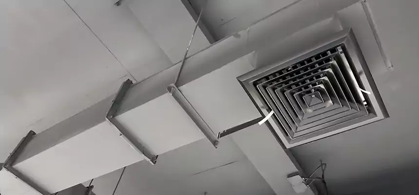 Our Rodent Droppings In Vents Services in Lincoln, NE