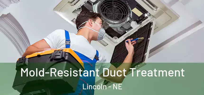  Mold-Resistant Duct Treatment Lincoln - NE