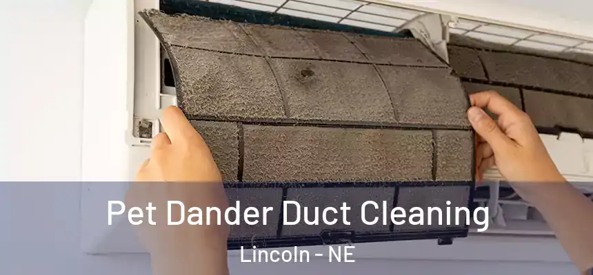 Pet Dander Duct Cleaning Lincoln - NE