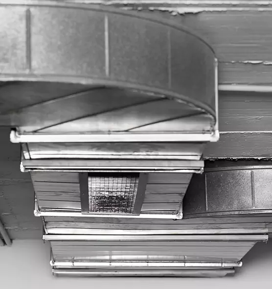 Professional Air Duct Pest Removal in Lincoln, NE