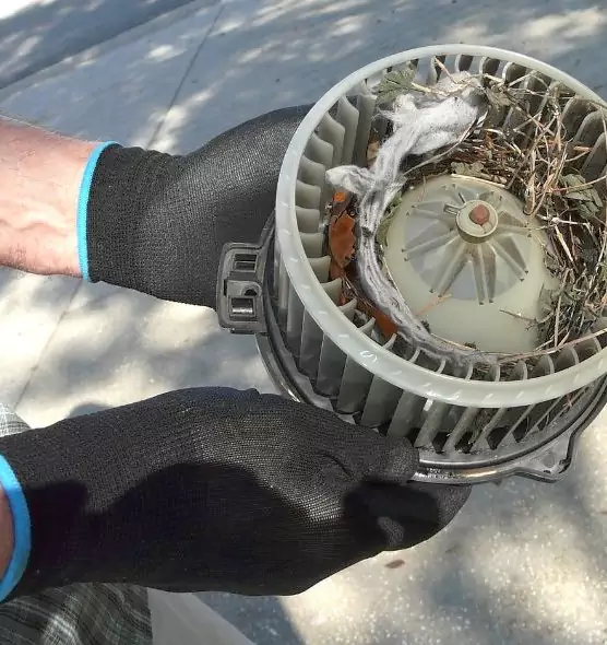 About Air Duct Rat Removal in Lincoln, NE