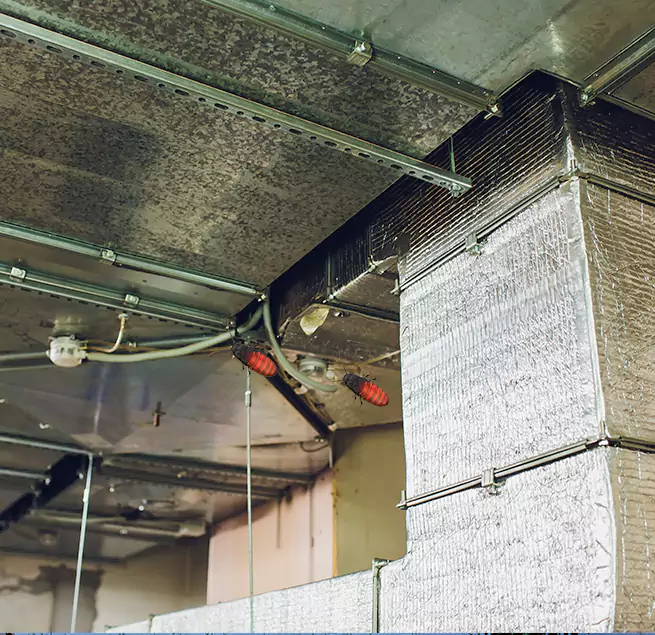 Why Homeowners & Businesses Trust Us Lincoln, NE?